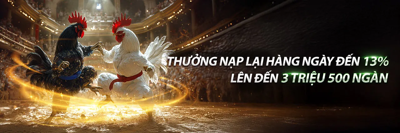 Đá gà kịch tính tại abc8 link